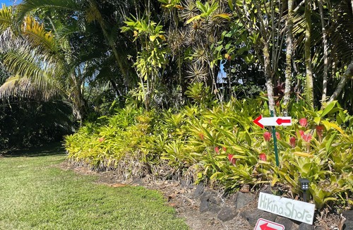 Waa Waa House | Hikina Shore Getaway. nA Coastal+Jungle Stay