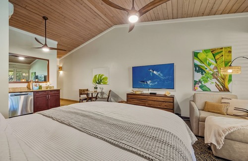 Napili Condo | Walk to Beach and Dining + AC - Napili Shores D224 - Updated Studio