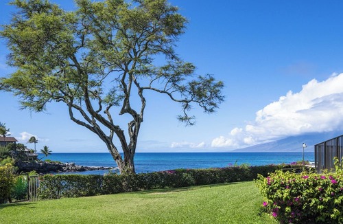 Napili Apartment | Napili Point A26 ~ Cozy Ground-Floor 1BD Ocean Front Views