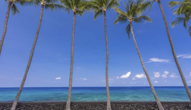 Oceanfront studio with AC, outdoor pool, beach gear, W/D, BBQ, & amazing sunsets