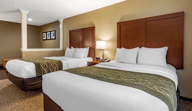 Comfort Inn & Suites Pittsburgh South in Pittsburgh