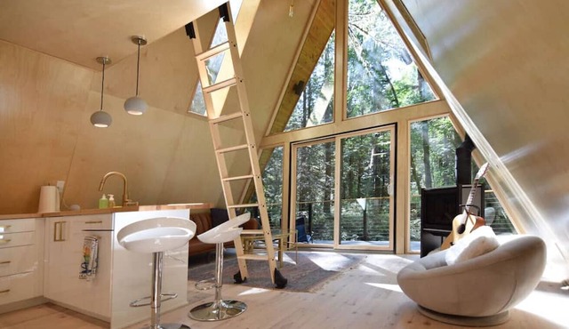 The Treeframe Cabin- Hot Tub + Sauna + Cold Plunge in Index