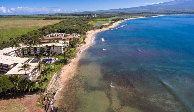 Front-Row Ocean View retreat, Whales, Sunsets, Steps to Beach, Kanai A Nalu #319