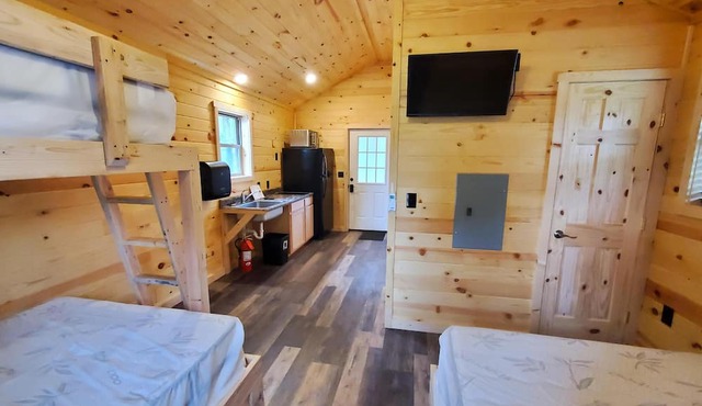 Crooked Creek Cabin 6 - Cabin Six: Handicap accessible cabin nestled in the PA Wilds with modern amenities and Pine Creek access for all to enjoy.