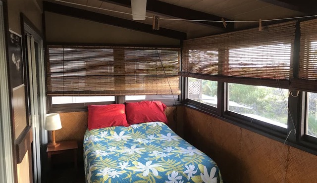 The Flying Honu is located in the heart of Kona Town