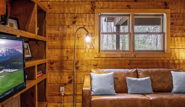 Mountain-Modern Cabin w/BIG Jet Tub